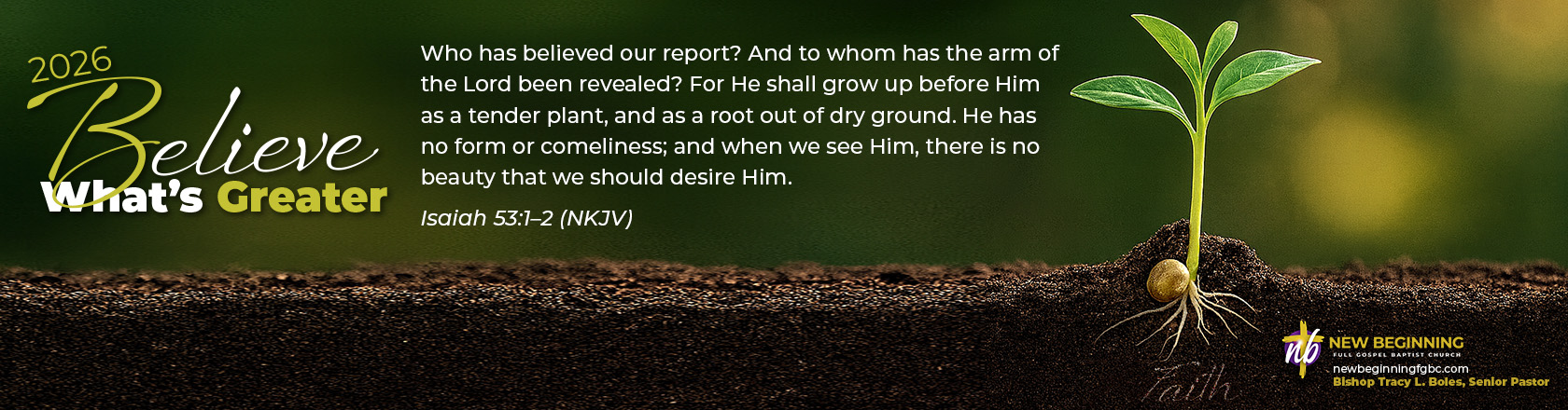 2026 NB Theme_newsletter banner